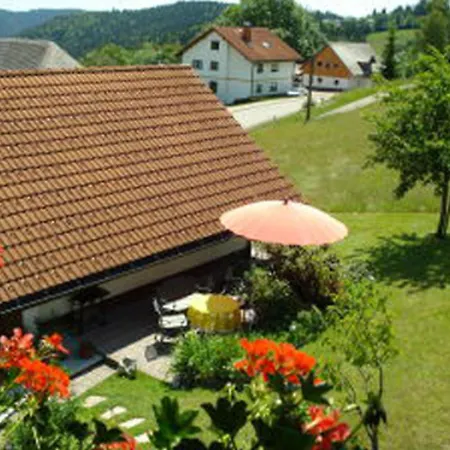 Haus Schupp Apartment Wittenschwand