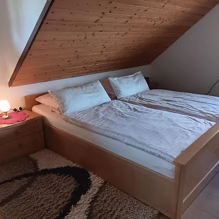 Haus Schupp Apartment *