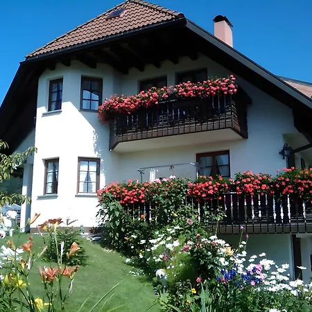 Haus Schupp Apartment Wittenschwand