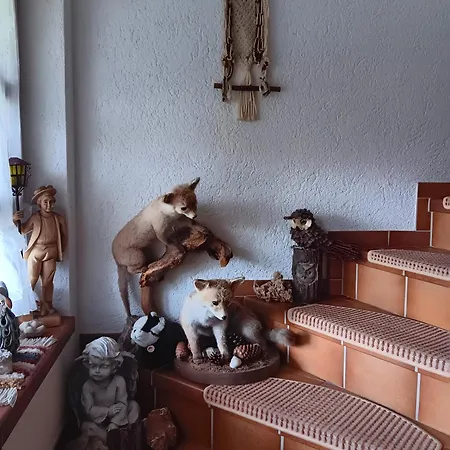 Haus Schupp * Wittenschwand